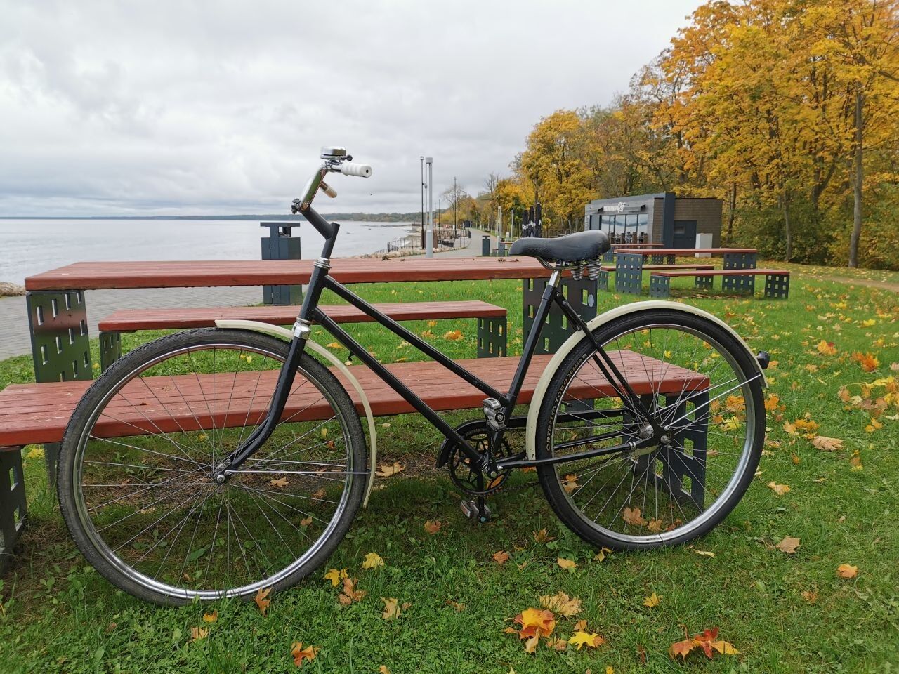 Bike: Black step-through